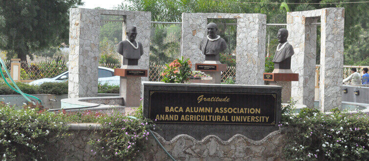 Statues of Sardar Patel, K M Munshi, M D Patel at AAU by Alumni Association of B A College of Agriculture, Anand.